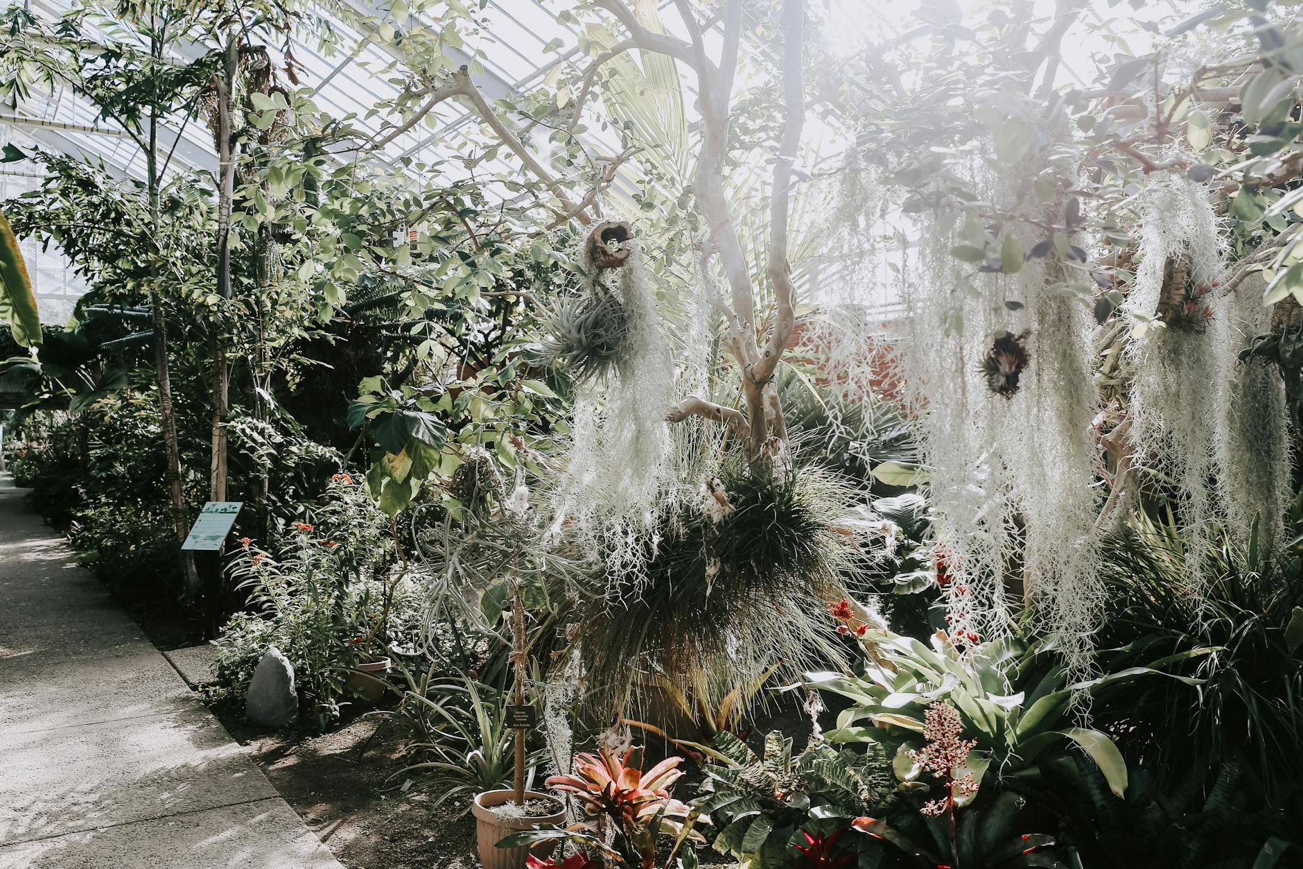 Family holidays Cornwall Eden Project tropical greenhouse botanical garden