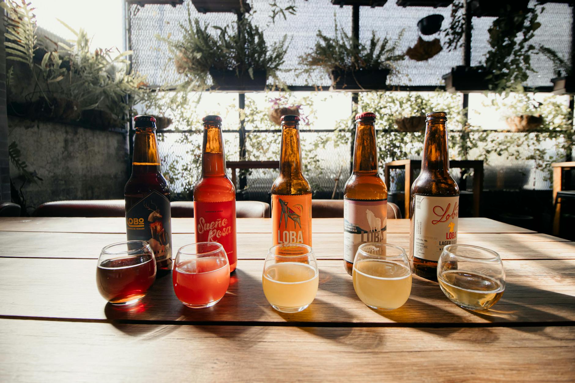 Cornwall food guide craft beer brewery tasting experience