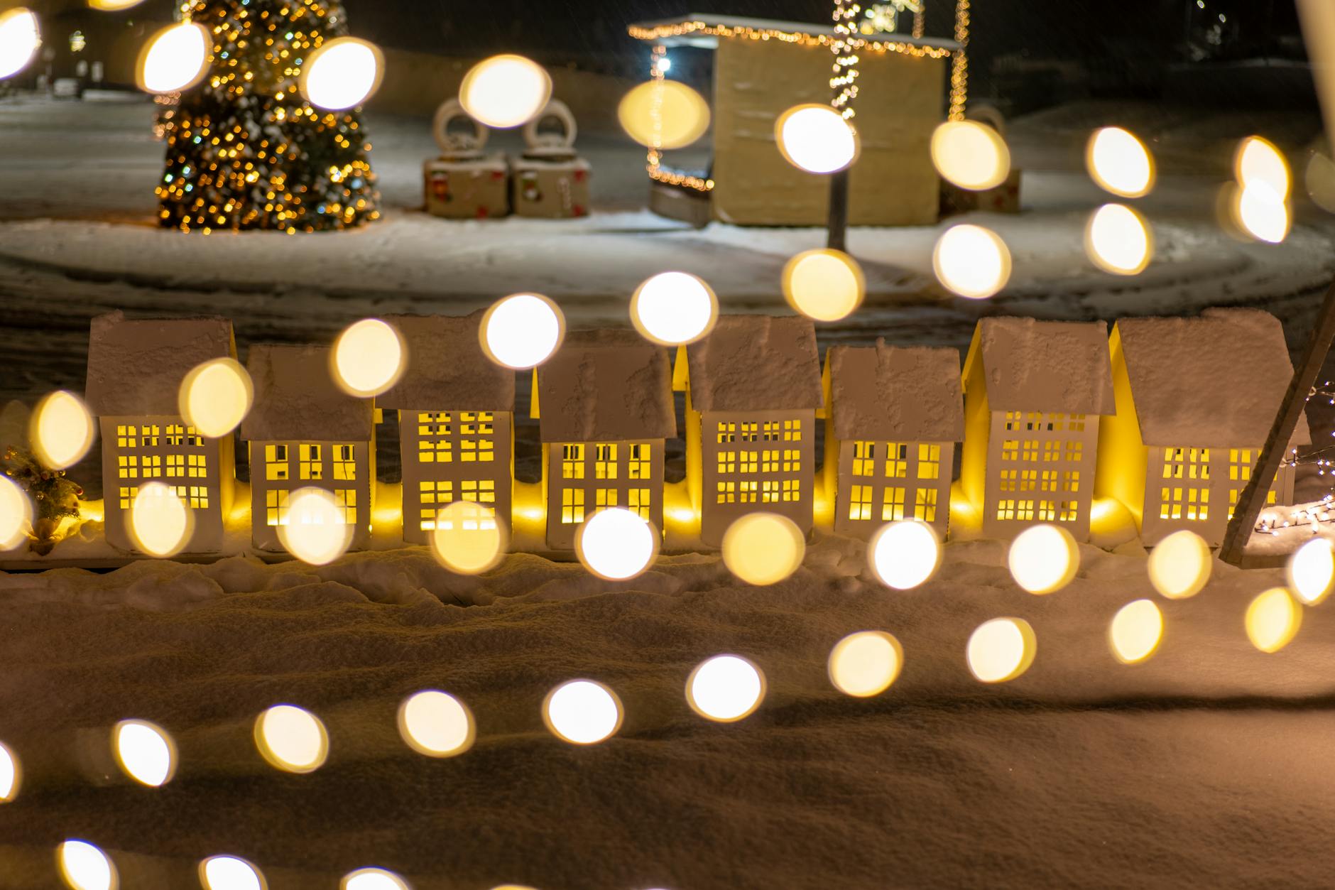 Christmas lights reflecting in harbour - Cornwall events