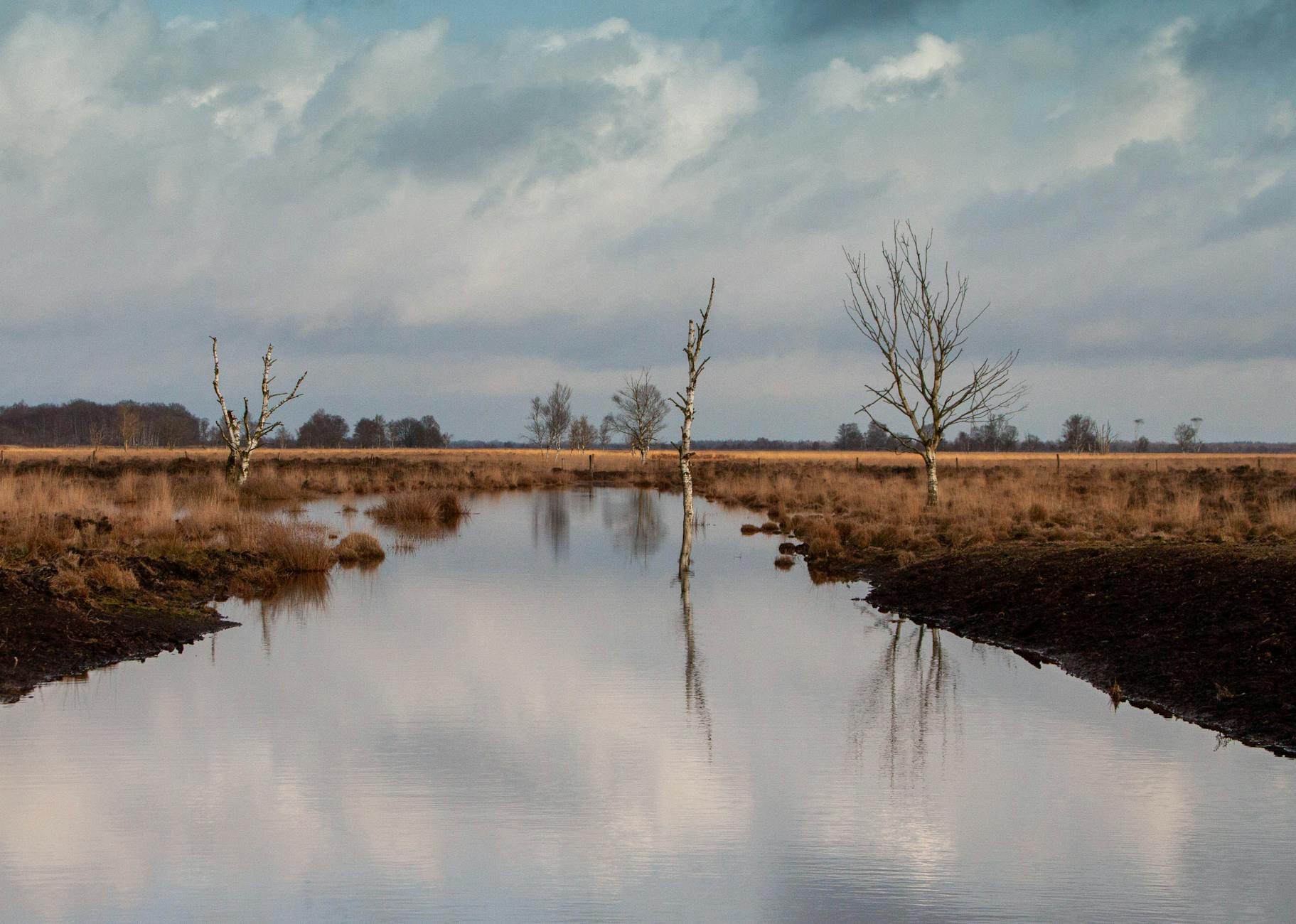 Wild landscape of Bodmin Moor Cornwall