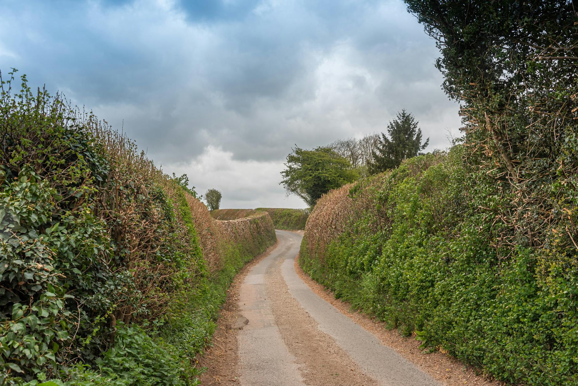 Narrow country lanes in Cornwall