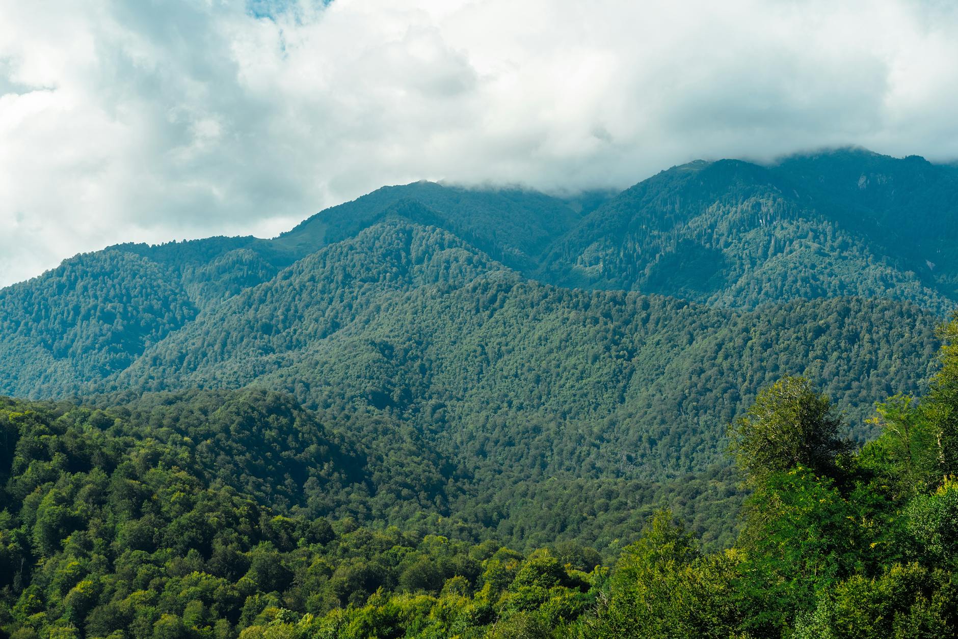 The Eden Project in Cornwall with its iconic biome domes surrounded by lush greenery