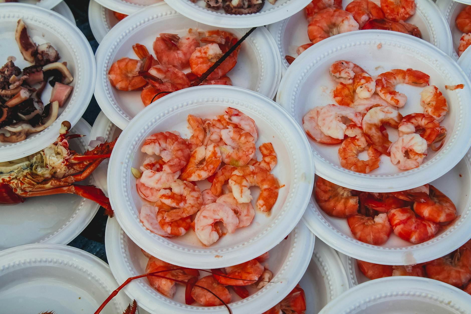 Cornwall seafood food festival