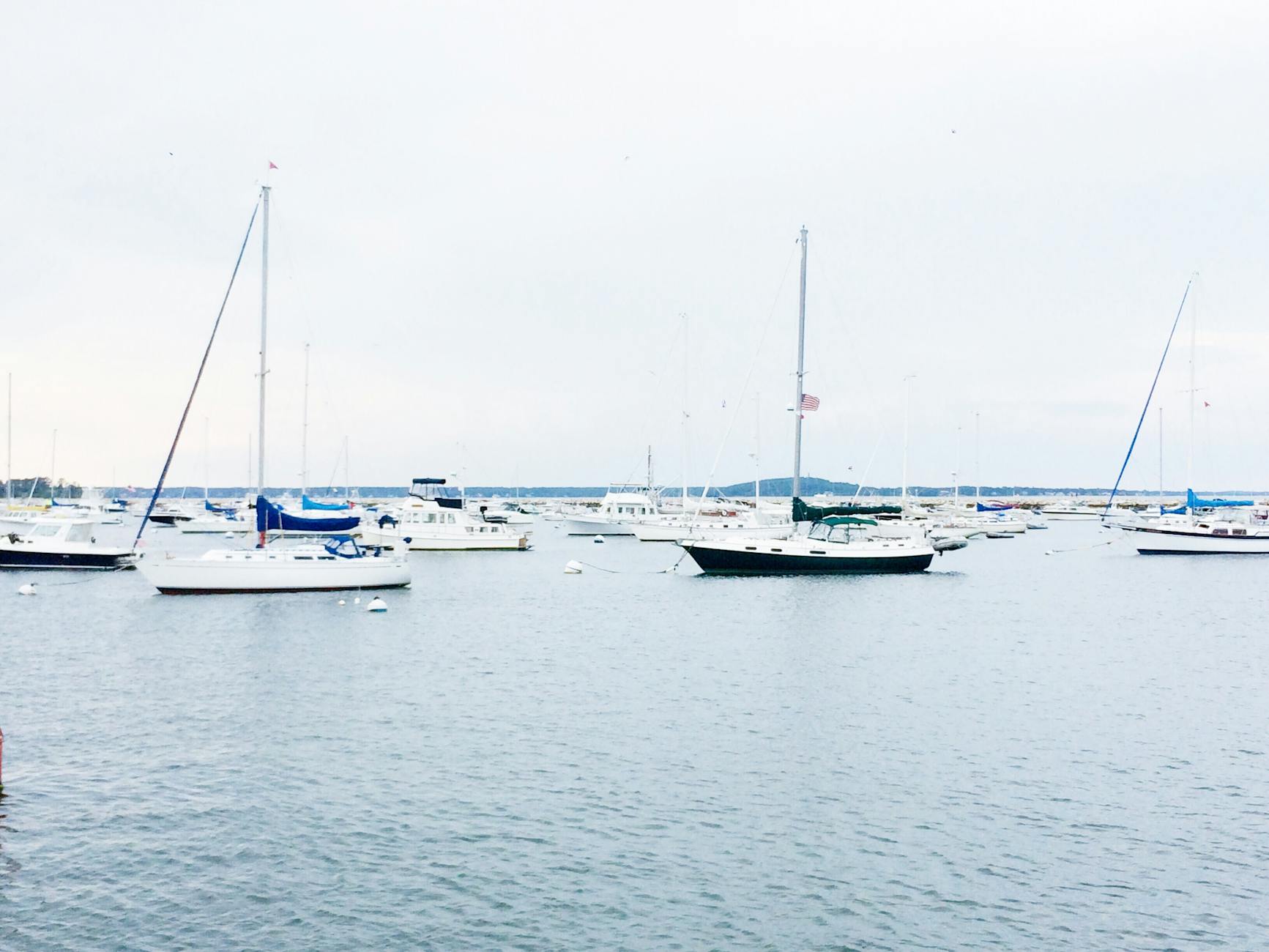 Cornwall harbour sailing regatta boats