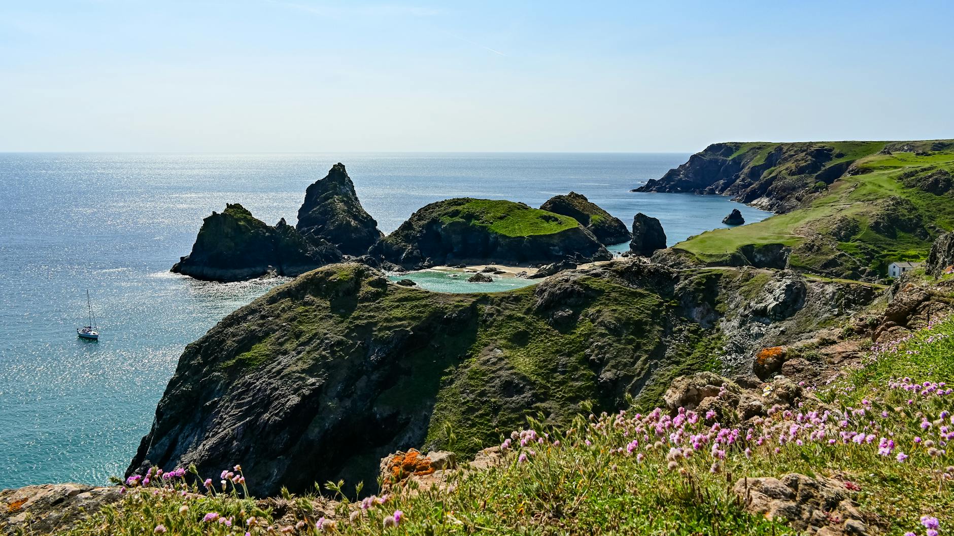 Cornwall garden coastal flowers spring