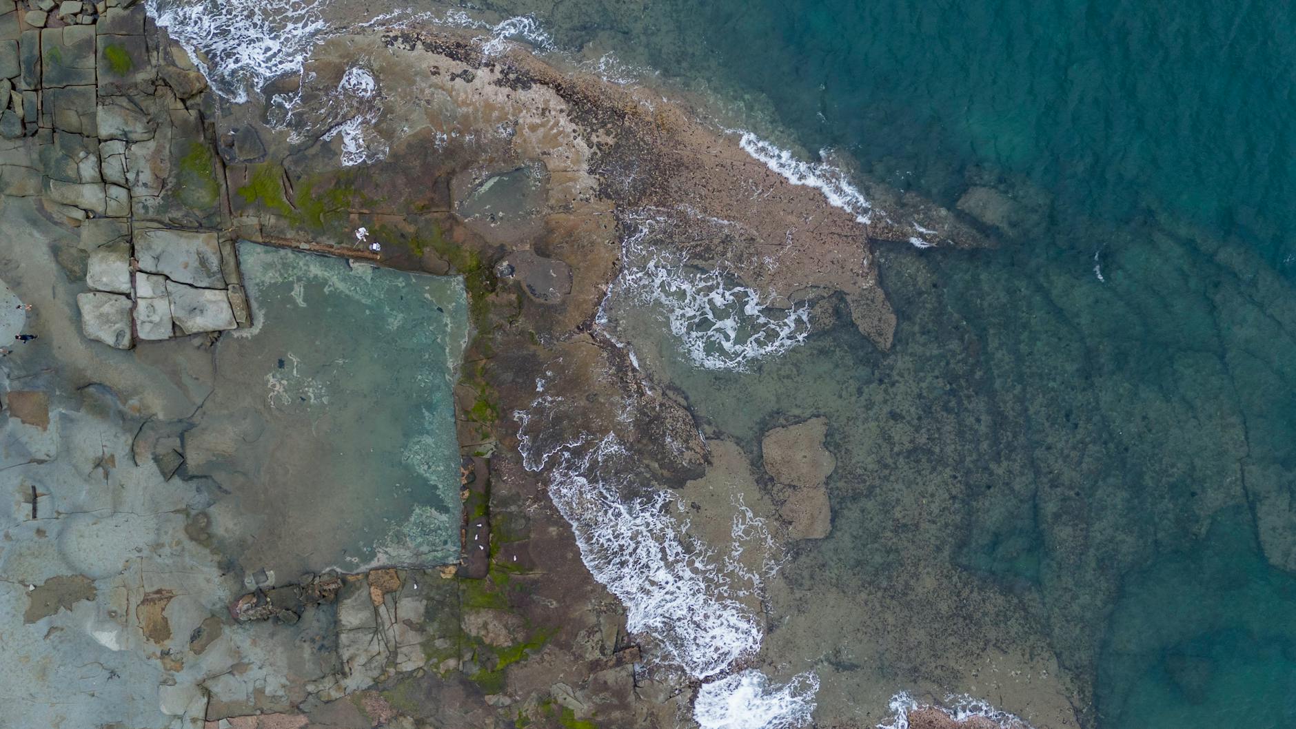 Rock pool sea creatures Cornwall families