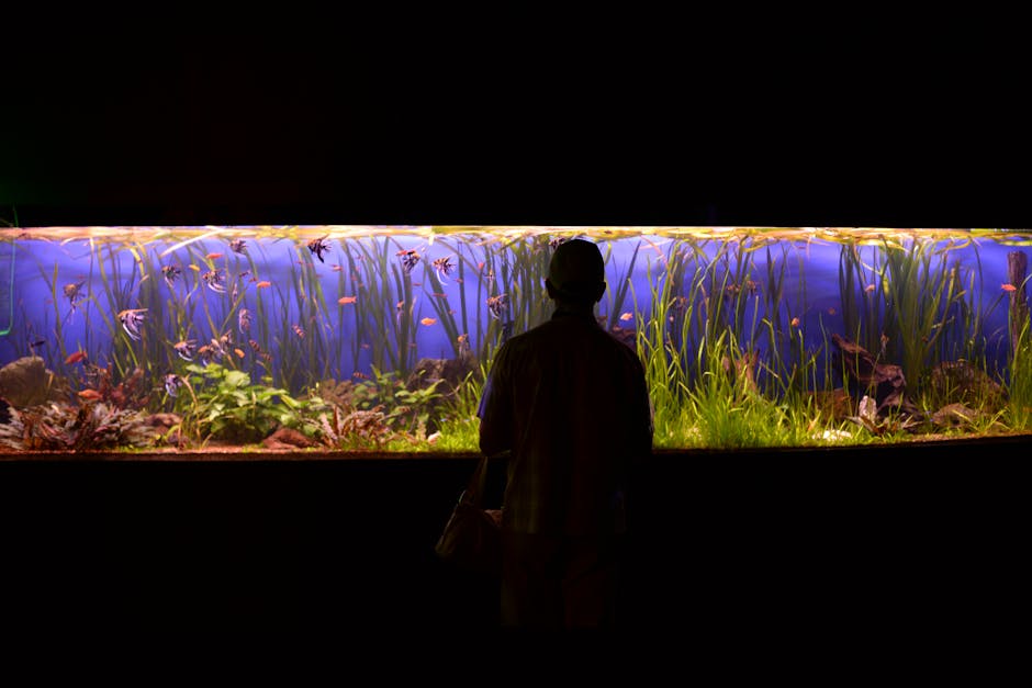 Visitor at a Cornwall aquarium tank — perfect rainy day Cornwall activity
