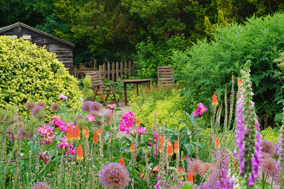 Lush flowering plants in a sub-tropical Cornwall garden setting