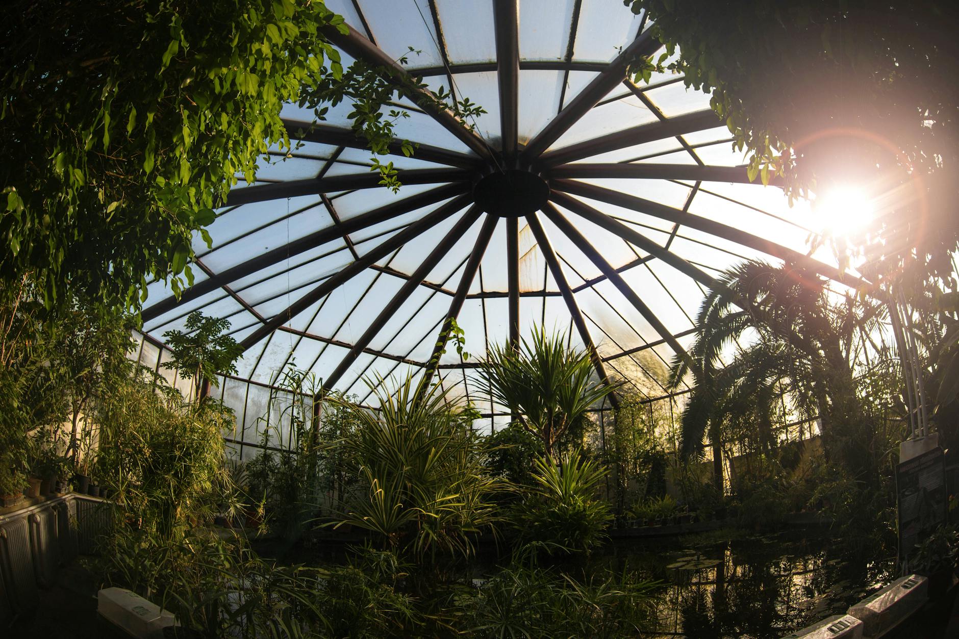 The geodesic biome domes of the Eden Project in Cornwall