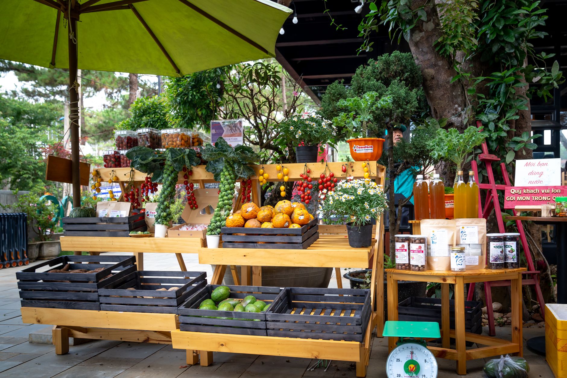 farm shops Cornwall - farm shop fresh vegetables wooden crates