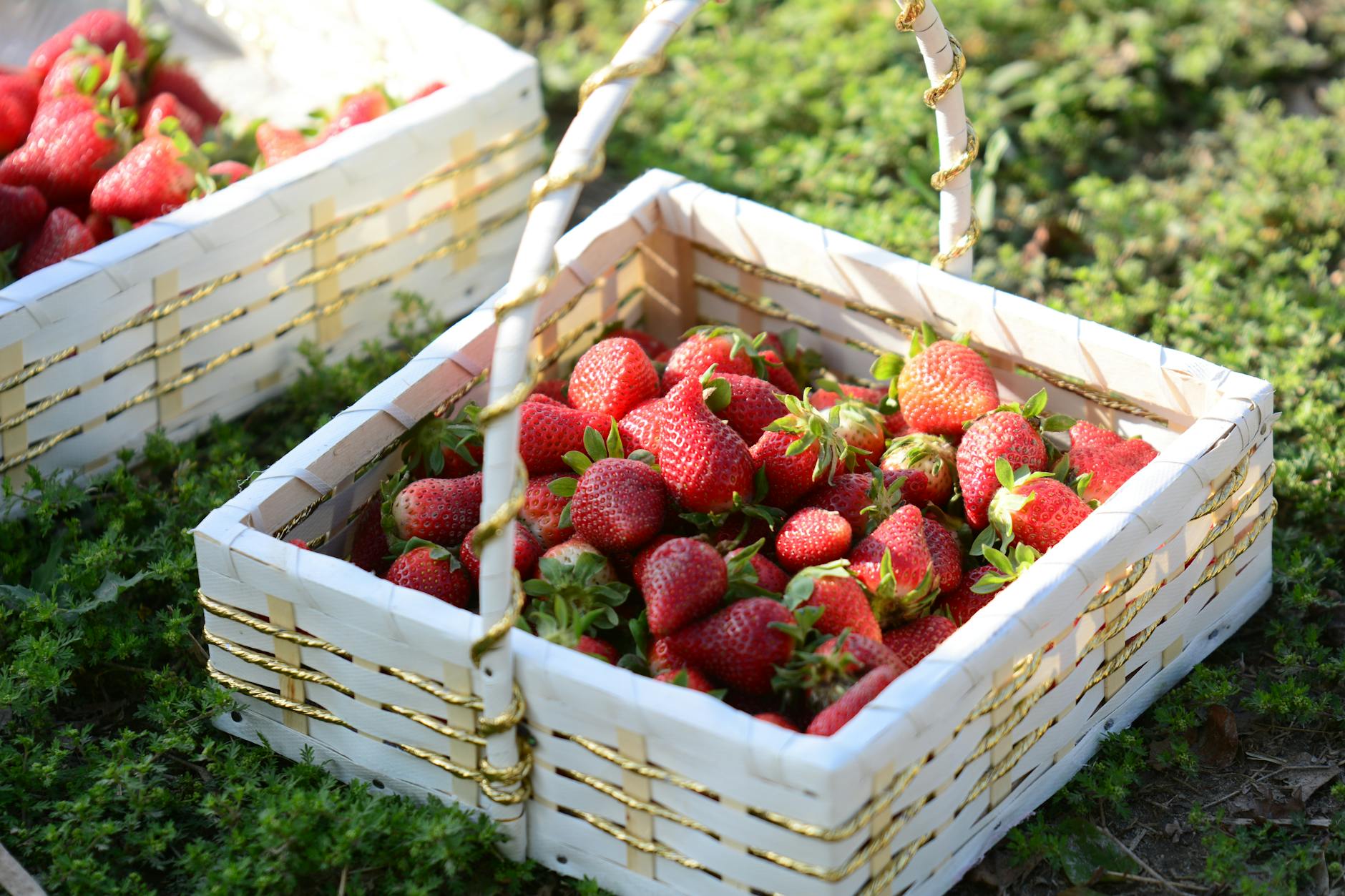 farm shops Cornwall - strawberries fresh fruit basket