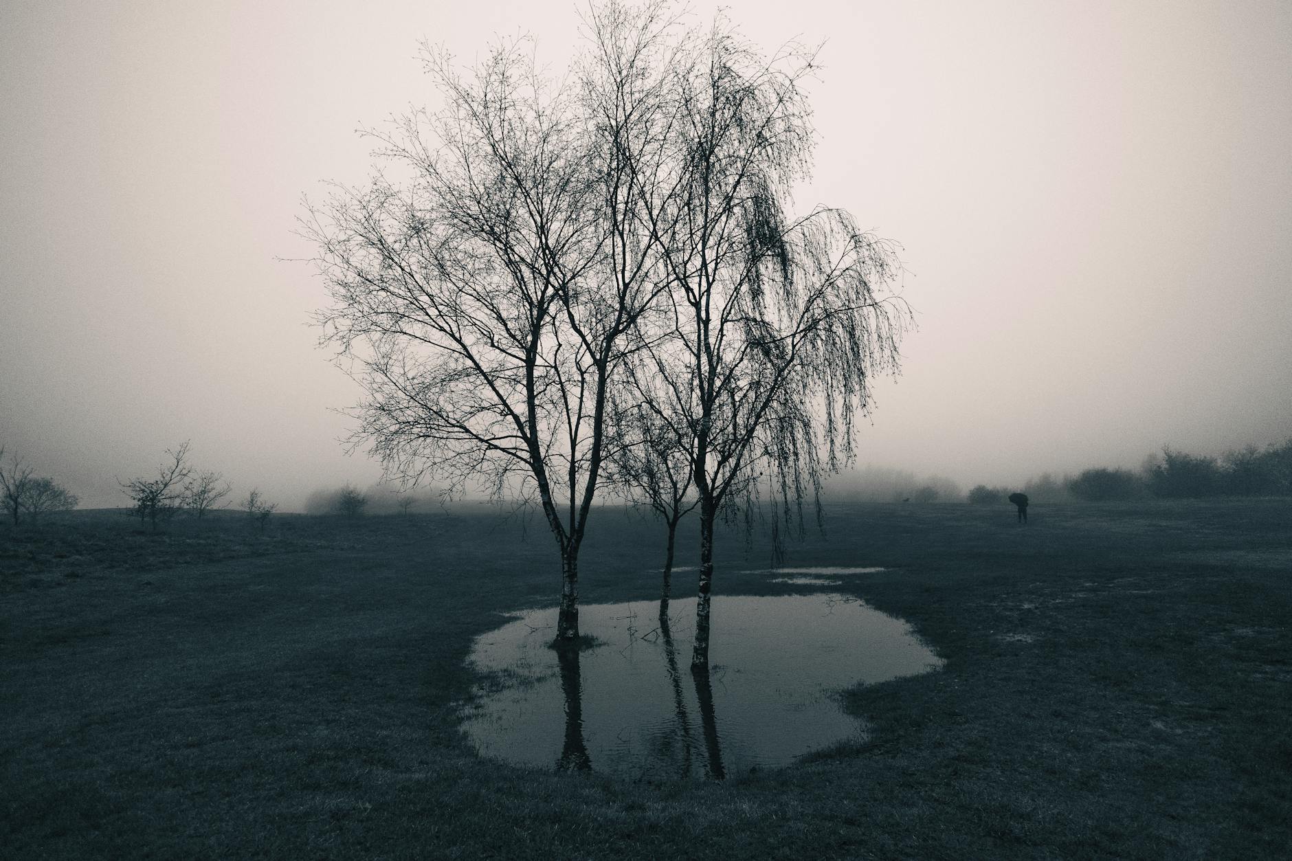 Misty, atmospheric Cornish moorland of the kind steeped in ghost stories