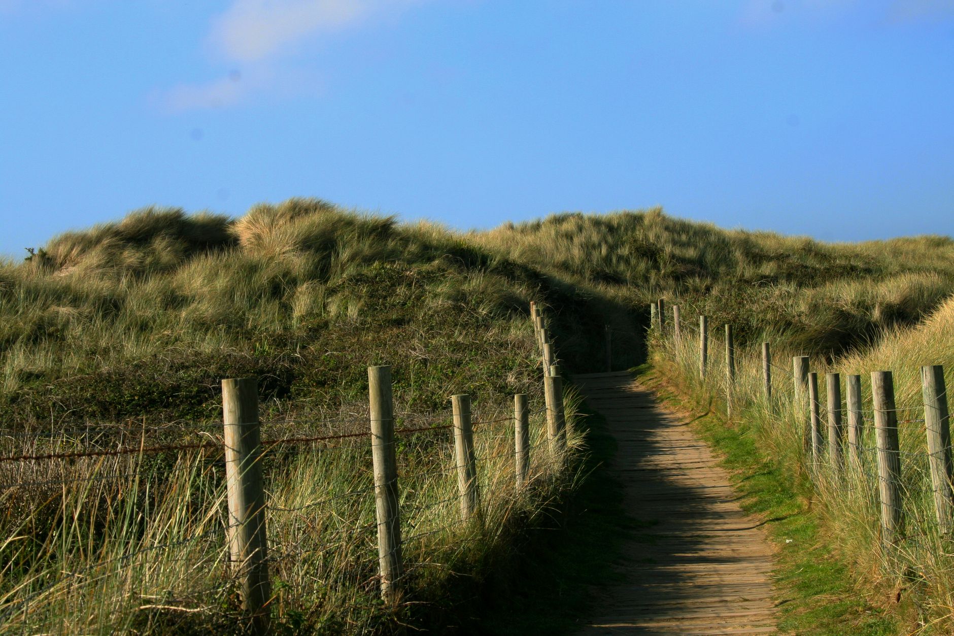 A garden path leading down towards a Cornish estuary