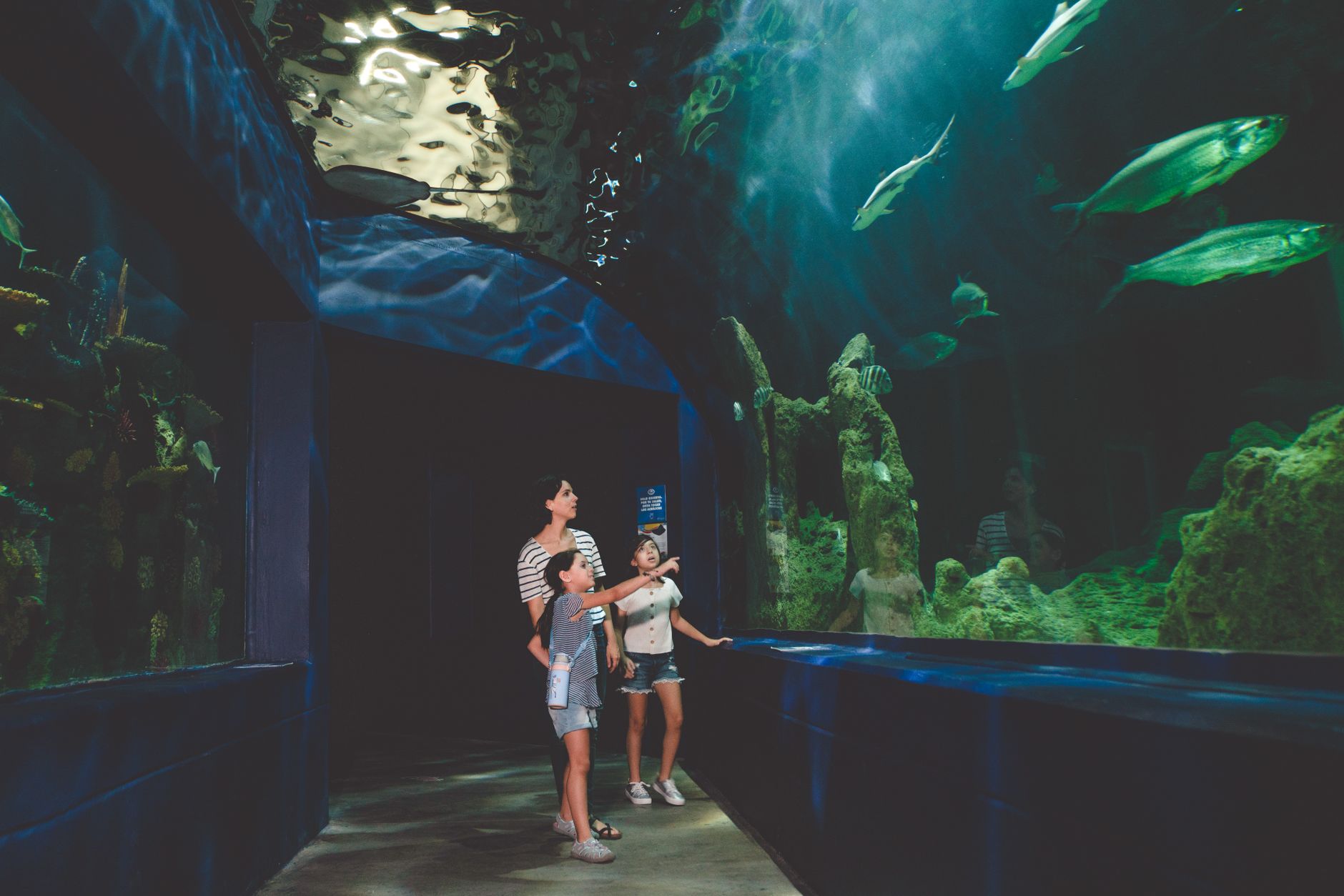 Children watching fish in a lit aquarium tank on a rainy day in Cornwall