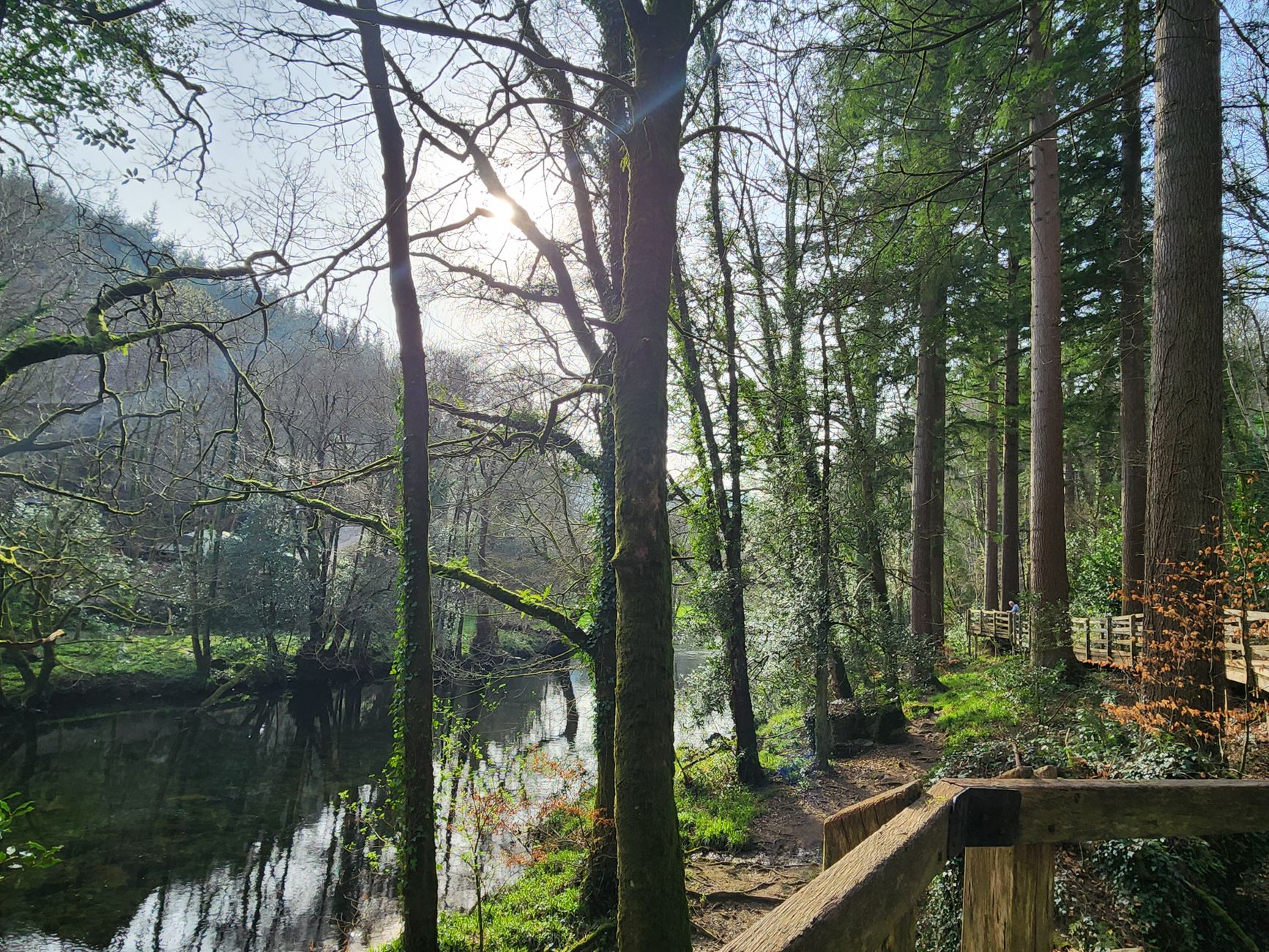 Wooded river valley walk inland in Cornwall