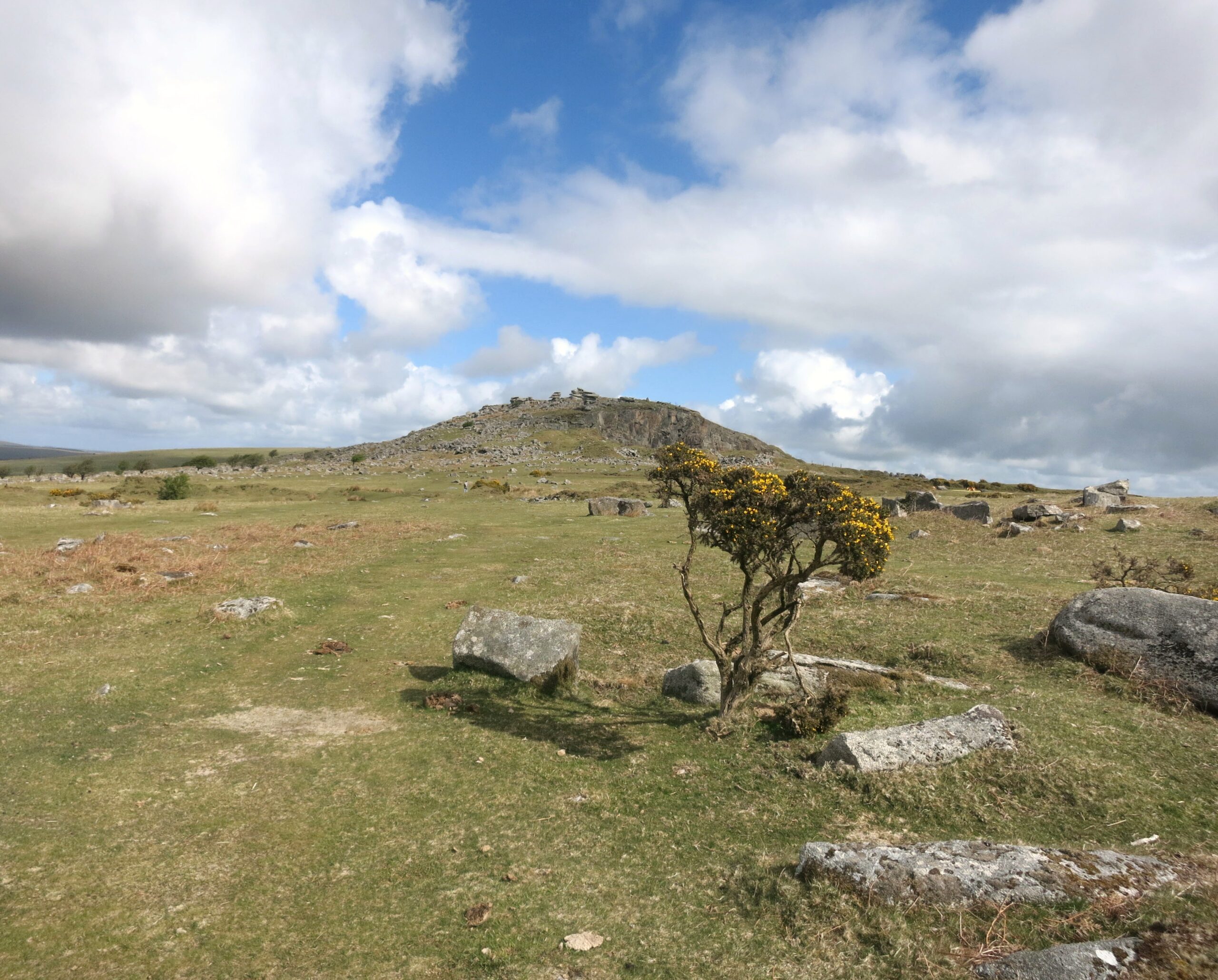 Open moorland and granite boulders below Stowe's Hill and the Cheesewring near Minions