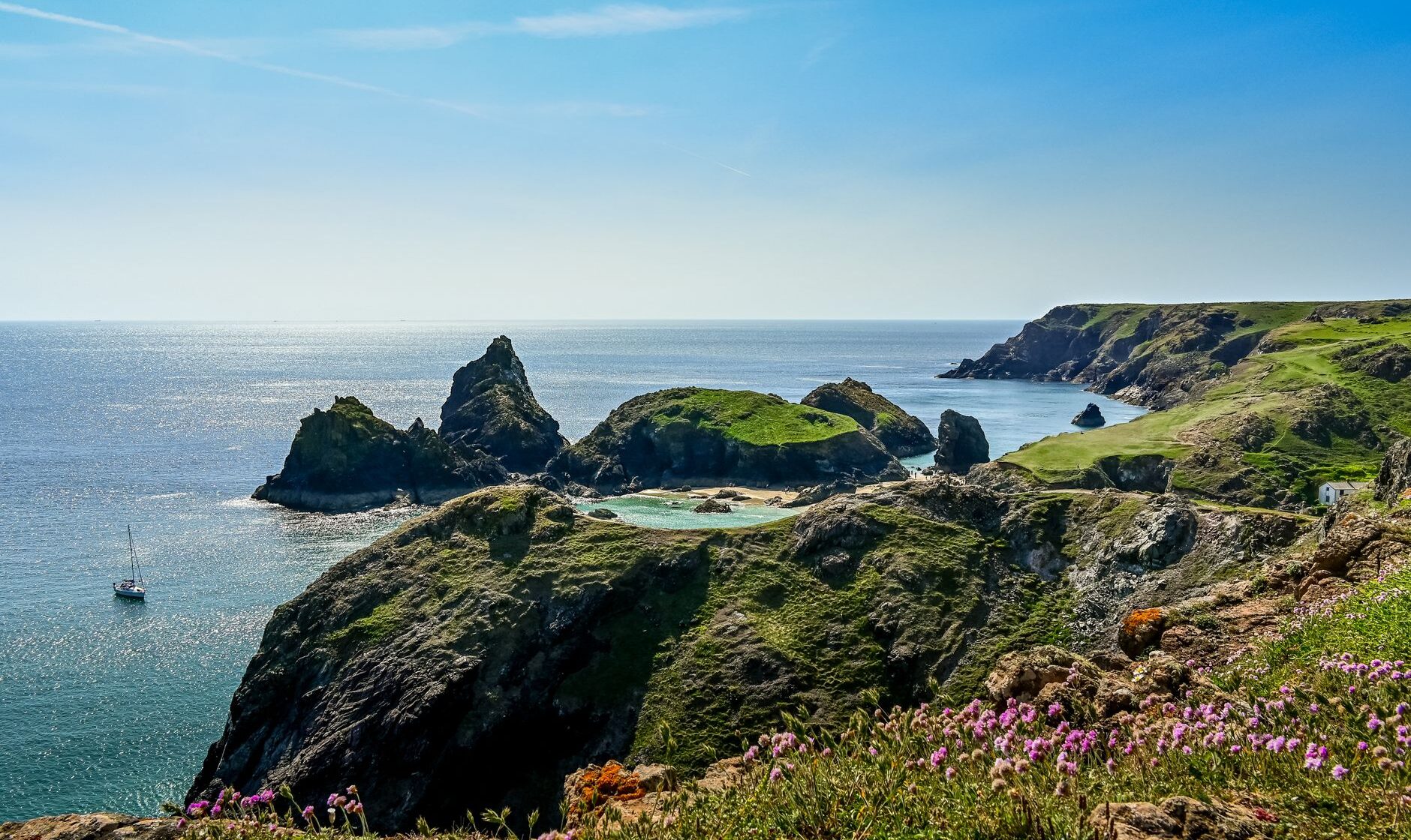 Kynance Cove's rock stacks and turquoise lagoon seen from the clifftop, with pink thrift in the foreground