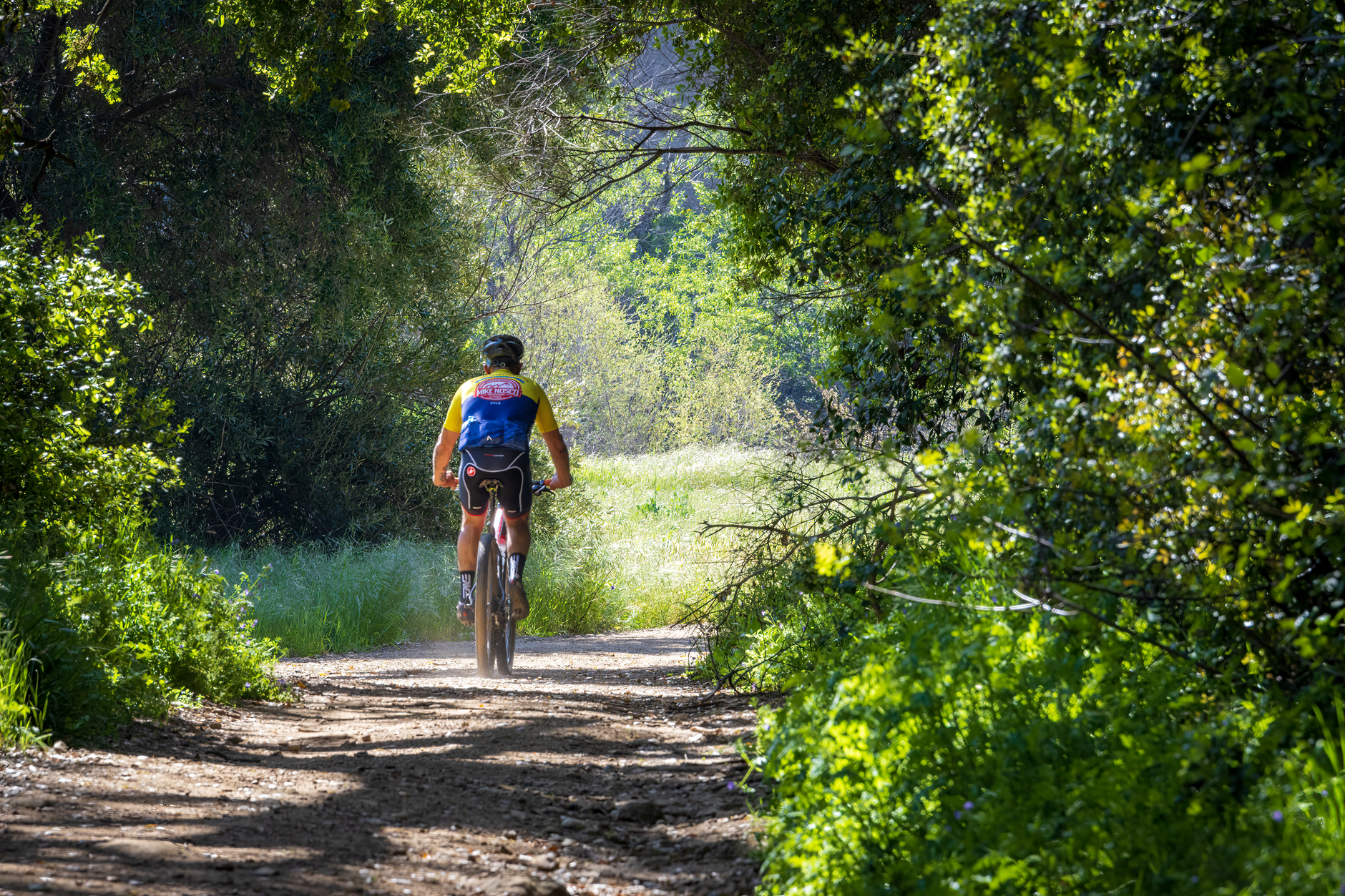 A mountain biker riding a wooded gravel trail