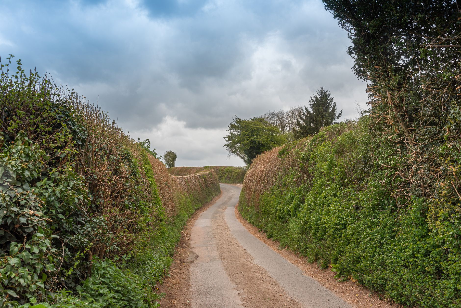 A narrow single-track lane between high hedgerows under a cloudy sky