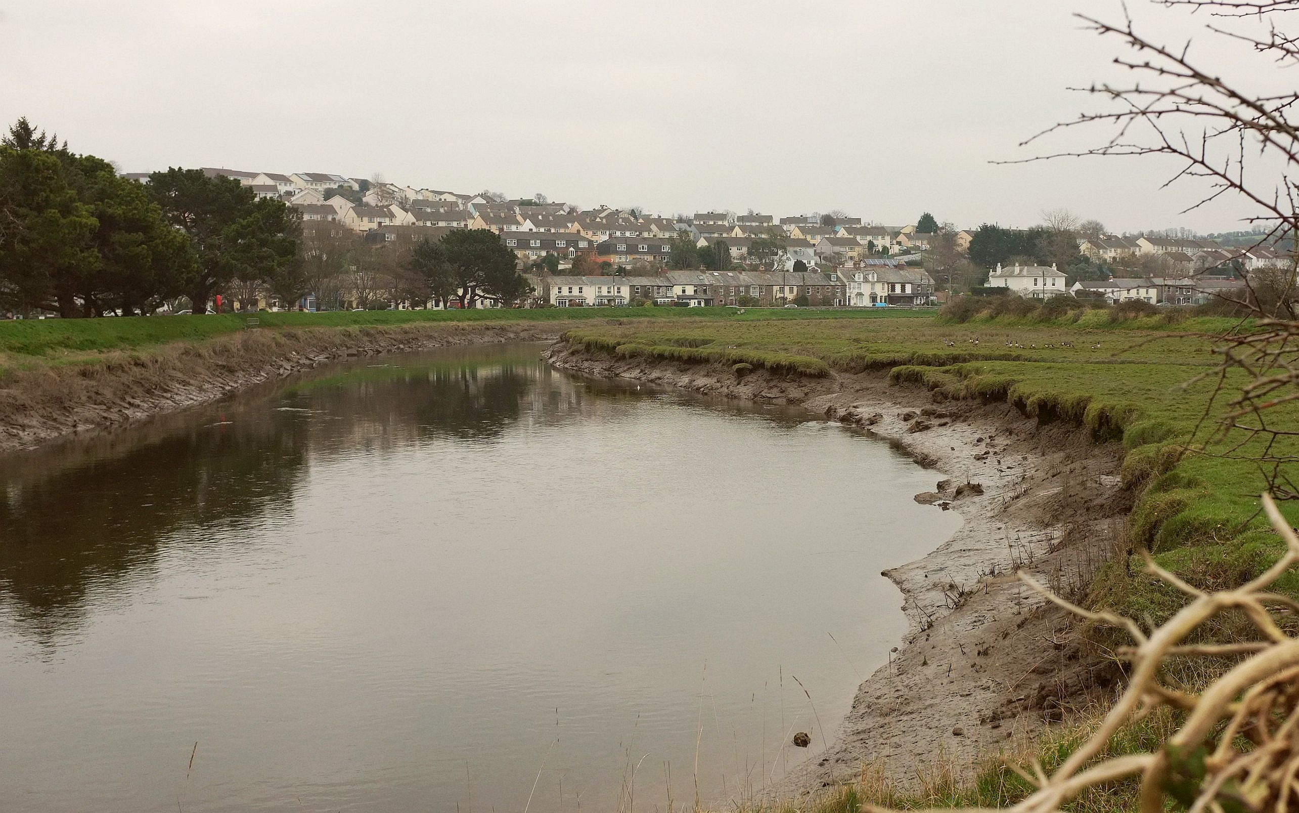 The River Camel above Wadebridge, Cornwall, with the town visible beyond the reed-lined banks